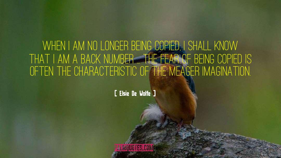 Elsie De Wolfe Quotes: When I am no longer