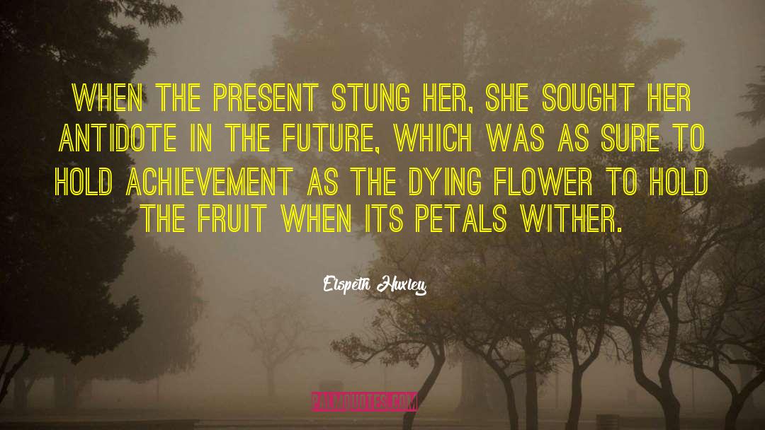 Elspeth Huxley Quotes: When the present stung her,