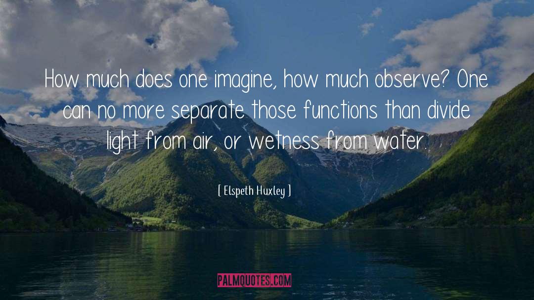 Elspeth Huxley Quotes: How much does one imagine,