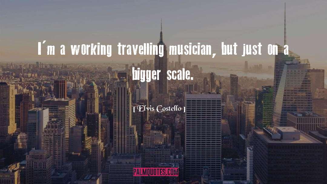 Elvis Costello Quotes: I'm a working travelling musician,