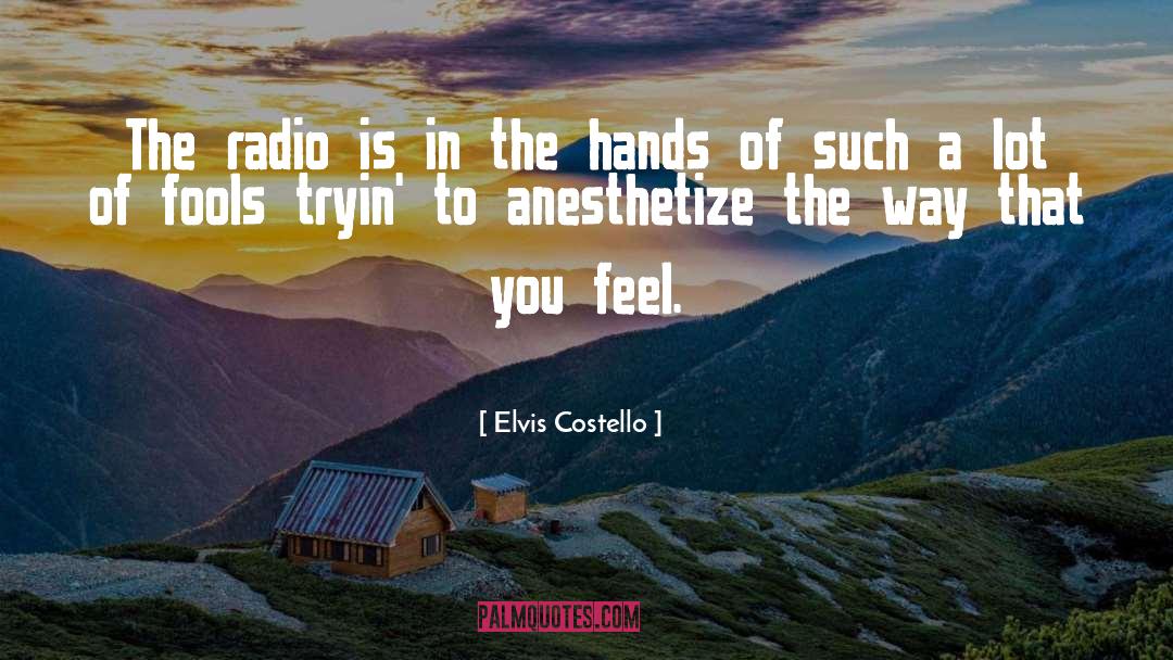 Elvis Costello Quotes: The radio is in the