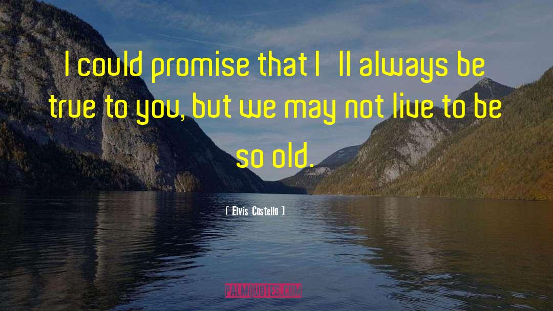 Elvis Costello Quotes: I could promise that I'll