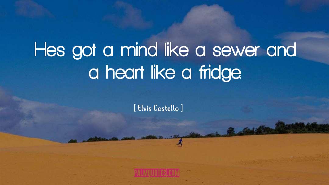 Elvis Costello Quotes: He's got a mind like