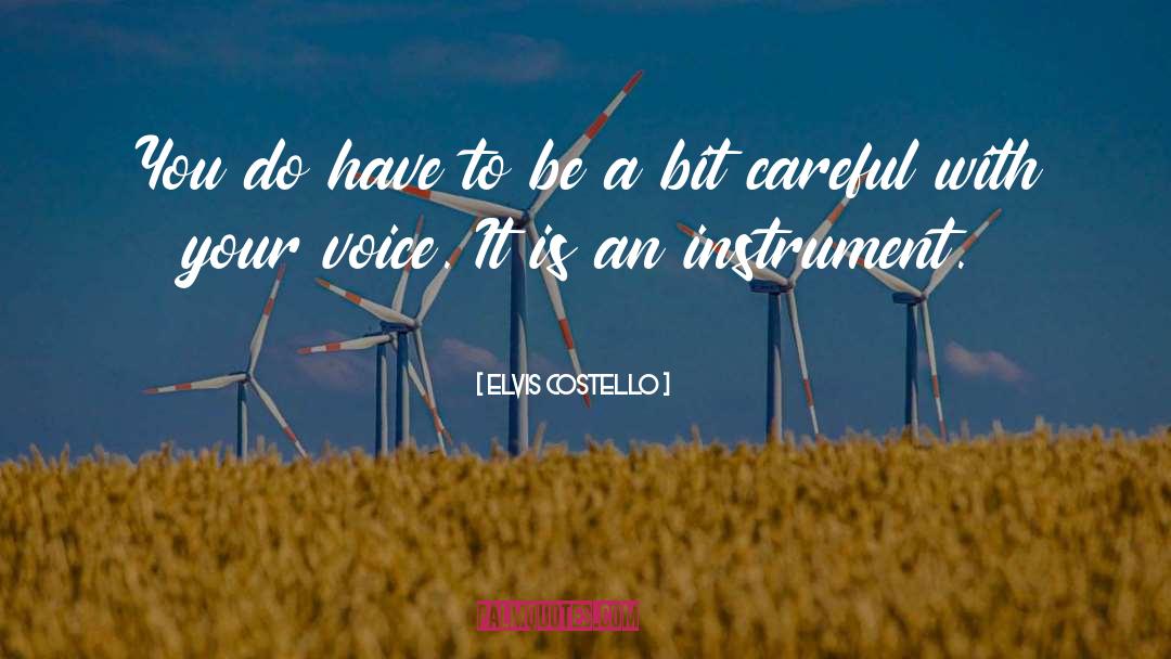 Elvis Costello Quotes: You do have to be