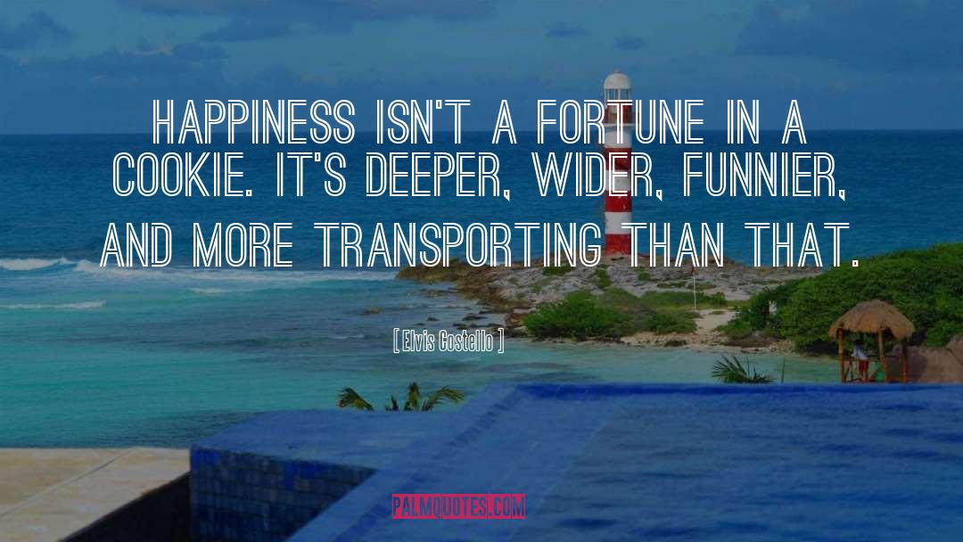 Elvis Costello Quotes: Happiness isn't a fortune in