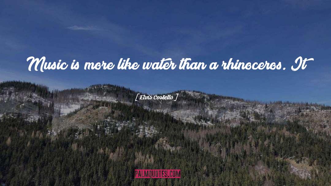 Elvis Costello Quotes: Music is more like water
