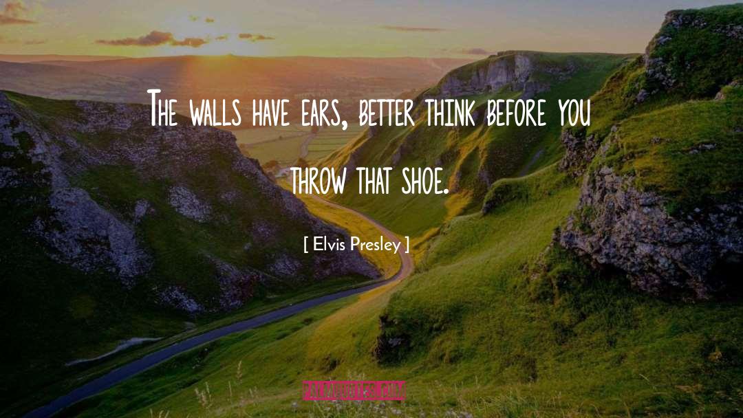 Elvis Presley Quotes: The walls have ears, better