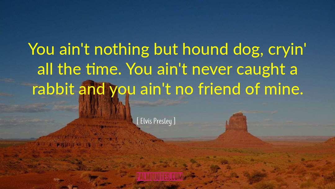 Elvis Presley Quotes: You ain't nothing but hound