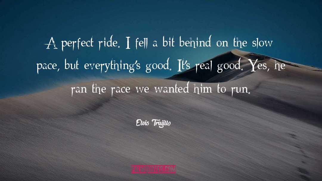 Elvis Trujillo Quotes: A perfect ride. I fell