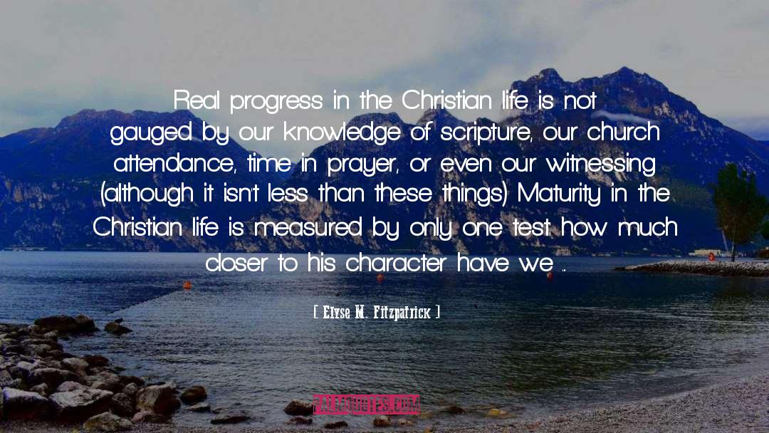 Elyse M. Fitzpatrick Quotes: Real progress in the Christian