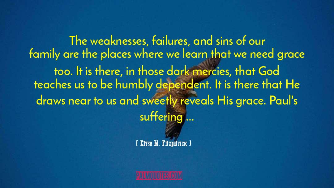 Elyse M. Fitzpatrick Quotes: The weaknesses, failures, and sins