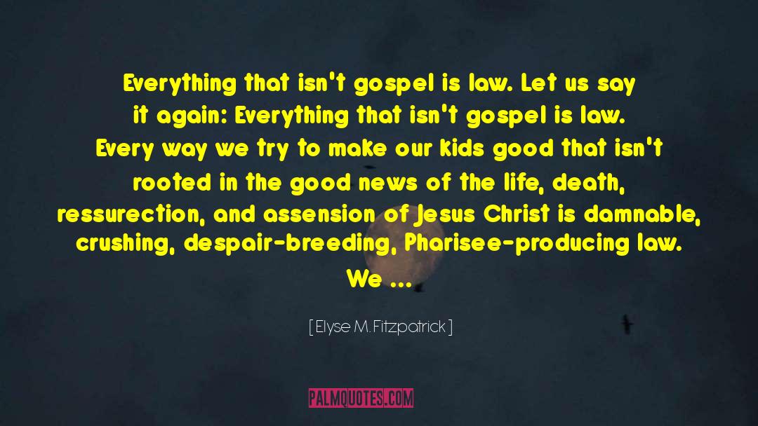 Elyse M. Fitzpatrick Quotes: Everything that isn't gospel is