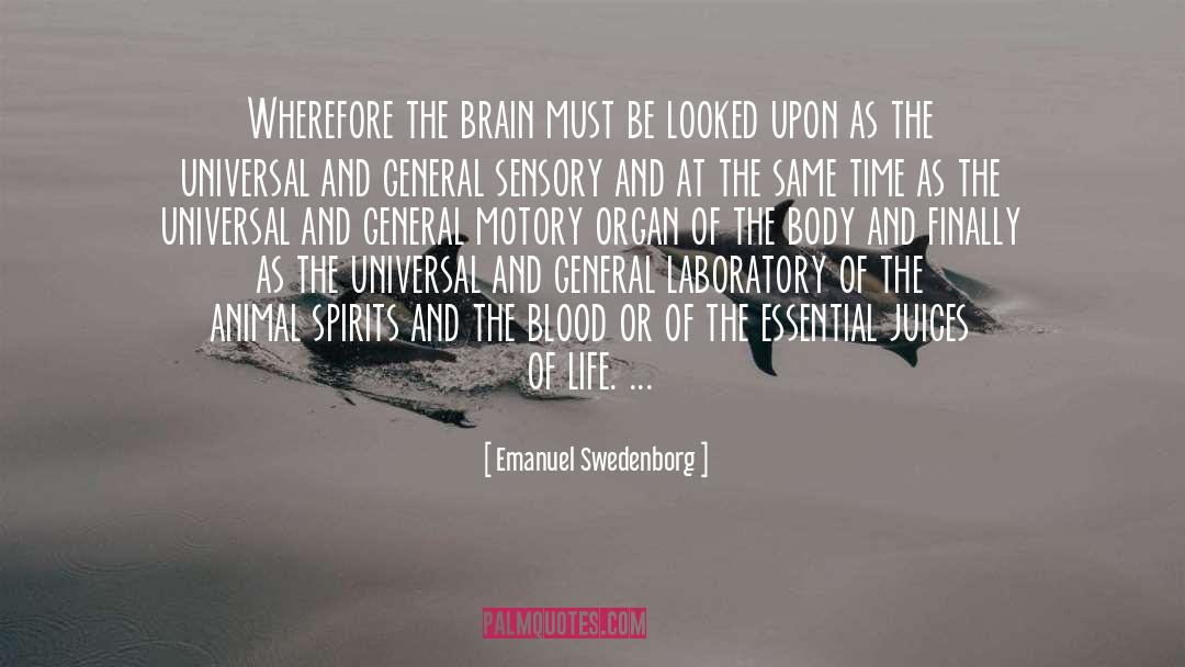 Emanuel Swedenborg Quotes: Wherefore the brain must be