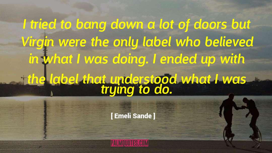 Emeli Sande Quotes: I tried to bang down