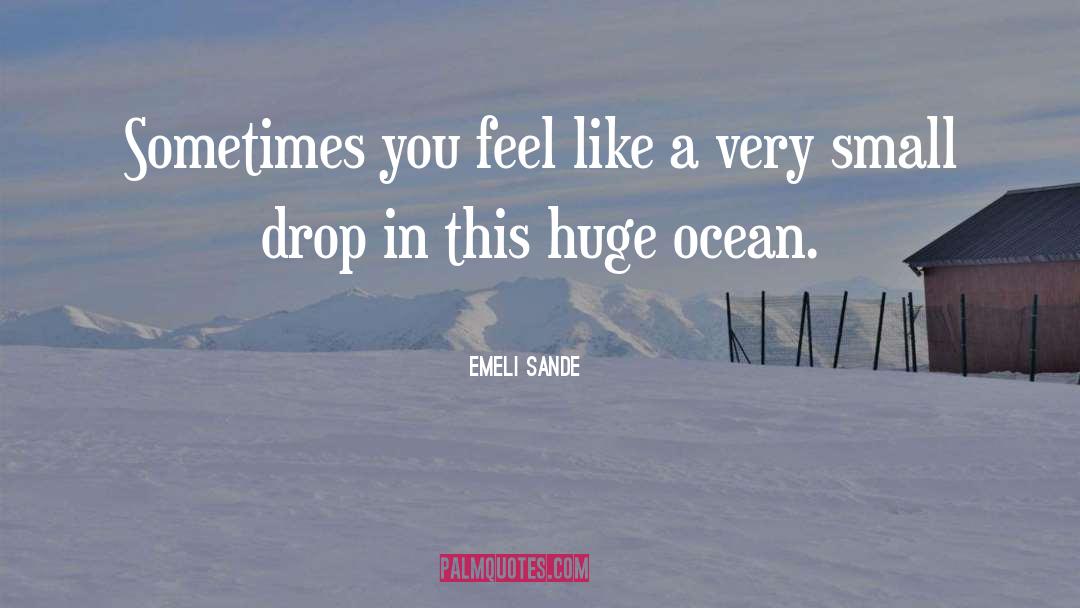 Emeli Sande Quotes: Sometimes you feel like a