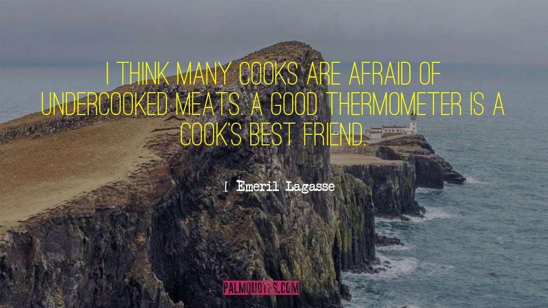 Emeril Lagasse Quotes: I think many cooks are