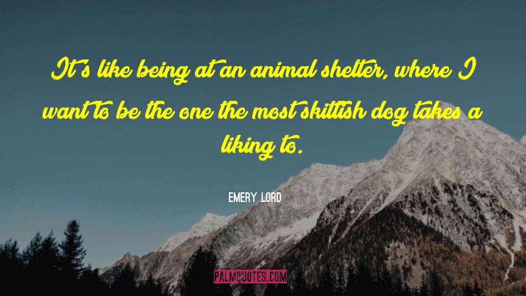 Emery Lord Quotes: It's like being at an