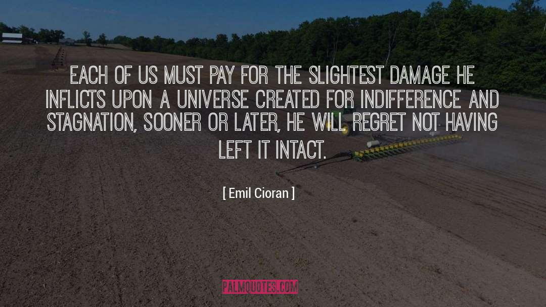 Emil Cioran Quotes: Each of us must pay