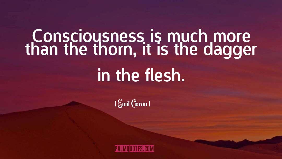 Emil Cioran Quotes: Consciousness is much more than