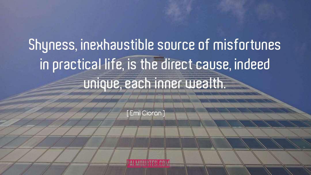 Emil Cioran Quotes: Shyness, inexhaustible source of misfortunes