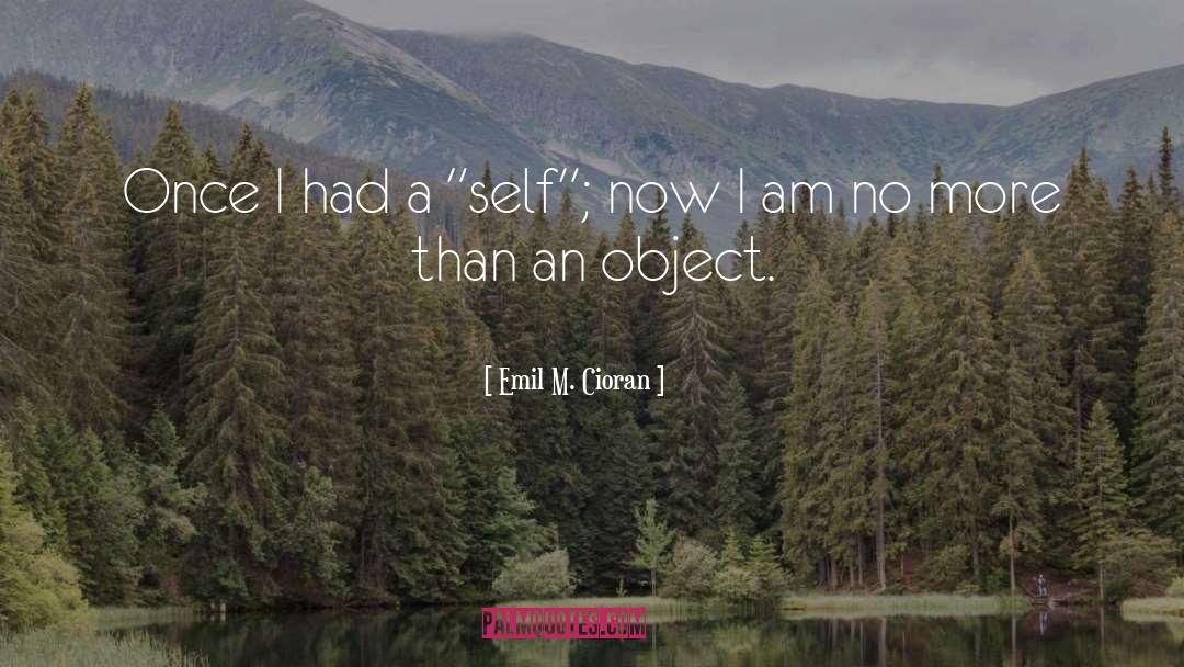 Emil M. Cioran Quotes: Once I had a 