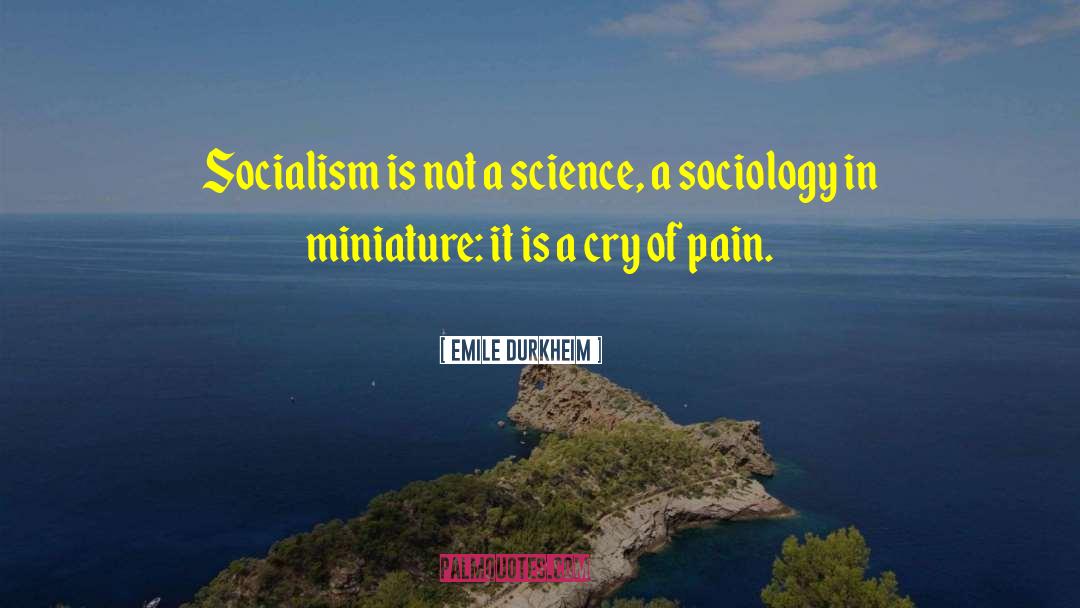 Emile Durkheim Quotes: Socialism is not a science,