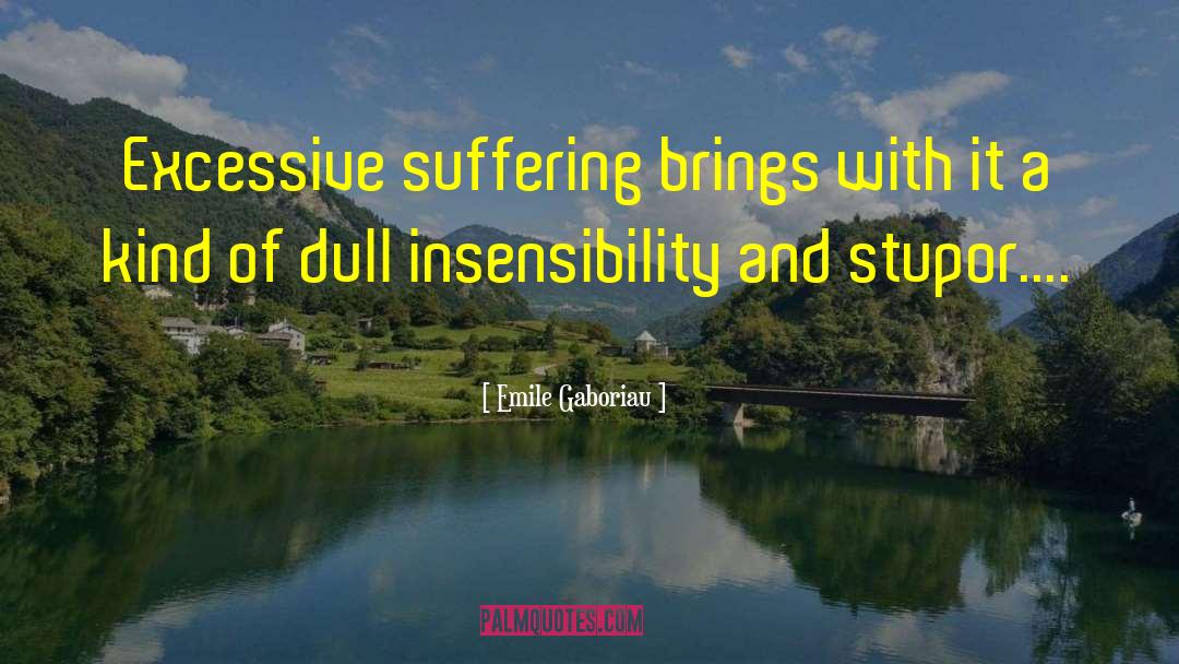 Emile Gaboriau Quotes: Excessive suffering brings with it