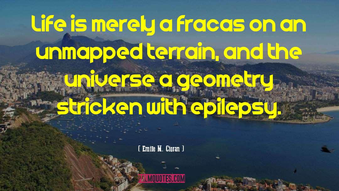 Emile M. Cioran Quotes: Life is merely a fracas