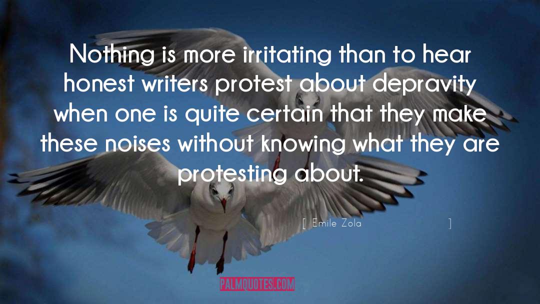 Emile Zola Quotes: Nothing is more irritating than