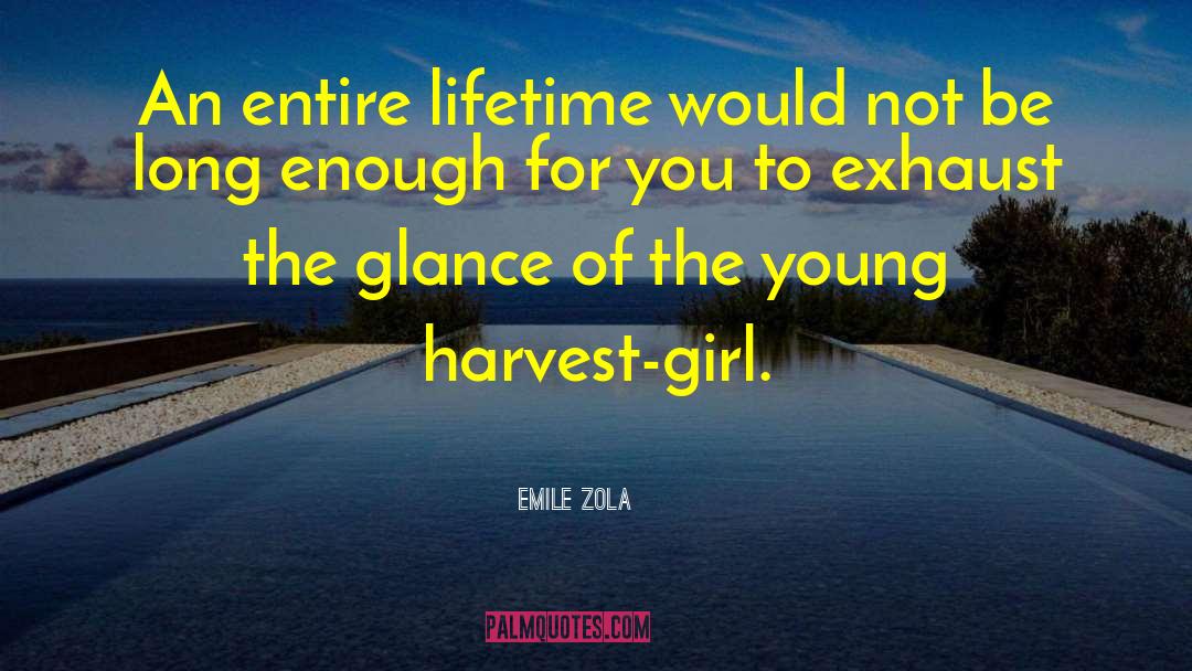Emile Zola Quotes: An entire lifetime would not