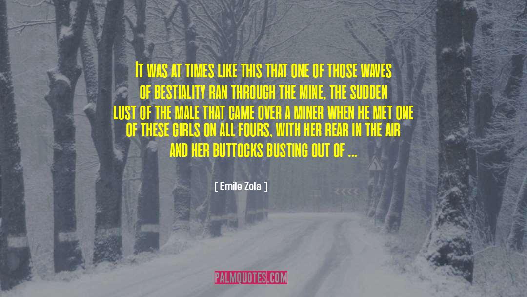 Emile Zola Quotes: It was at times like