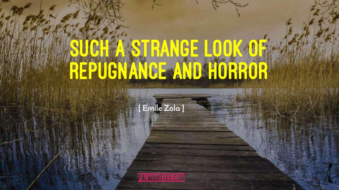 Emile Zola Quotes: such a strange look of