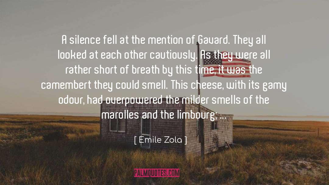 Emile Zola Quotes: A silence fell at the