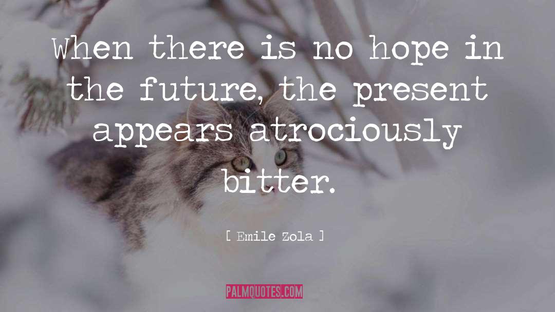 Emile Zola Quotes: When there is no hope