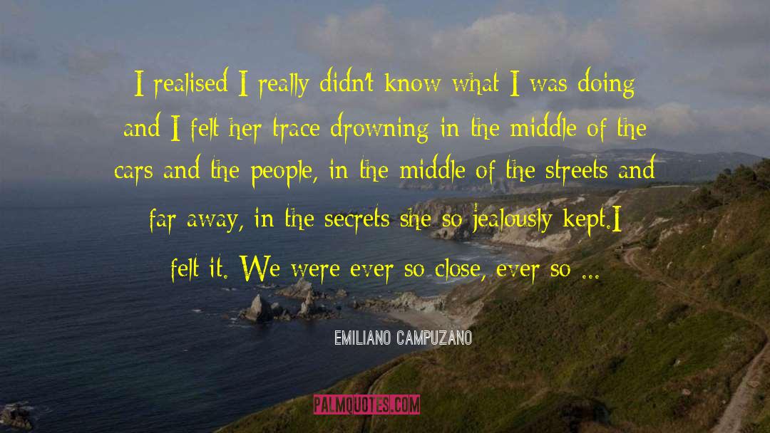 Emiliano Campuzano Quotes: I realised I really didn't