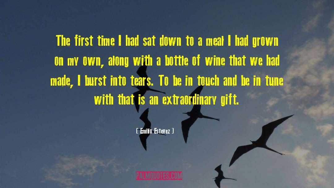 Emilio Estevez Quotes: The first time I had