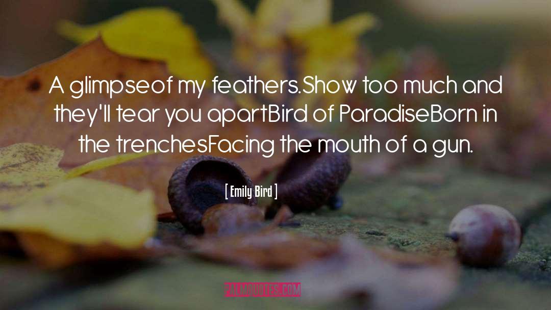 Emily Bird Quotes: A glimpse<br />of my feathers.<br