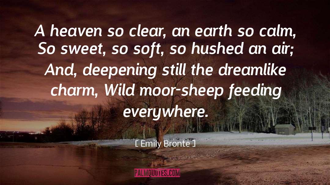 Emily Bronte Quotes: A heaven so clear, an
