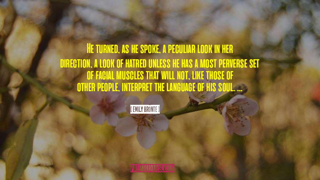 Emily Bronte Quotes: He turned, as he spoke,