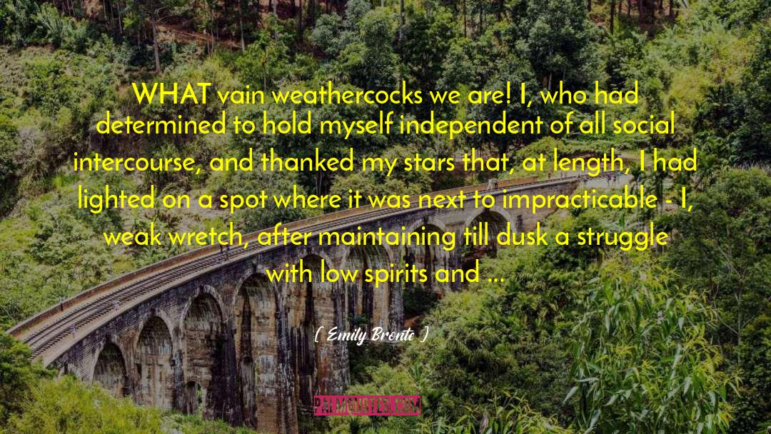 Emily Bronte Quotes: WHAT vain weathercocks we are!