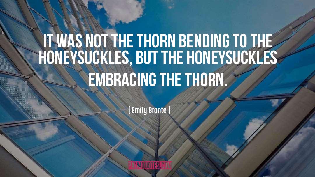 Emily Bronte Quotes: It was not the thorn