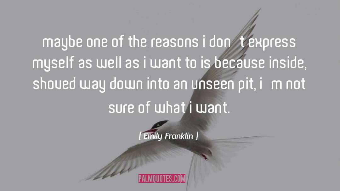 Emily Franklin Quotes: maybe one of the reasons