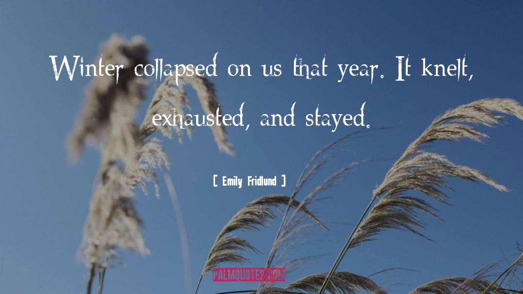 Emily Fridlund Quotes: Winter collapsed on us that