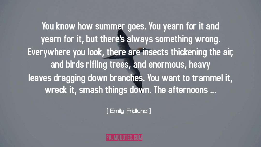 Emily Fridlund Quotes: You know how summer goes.