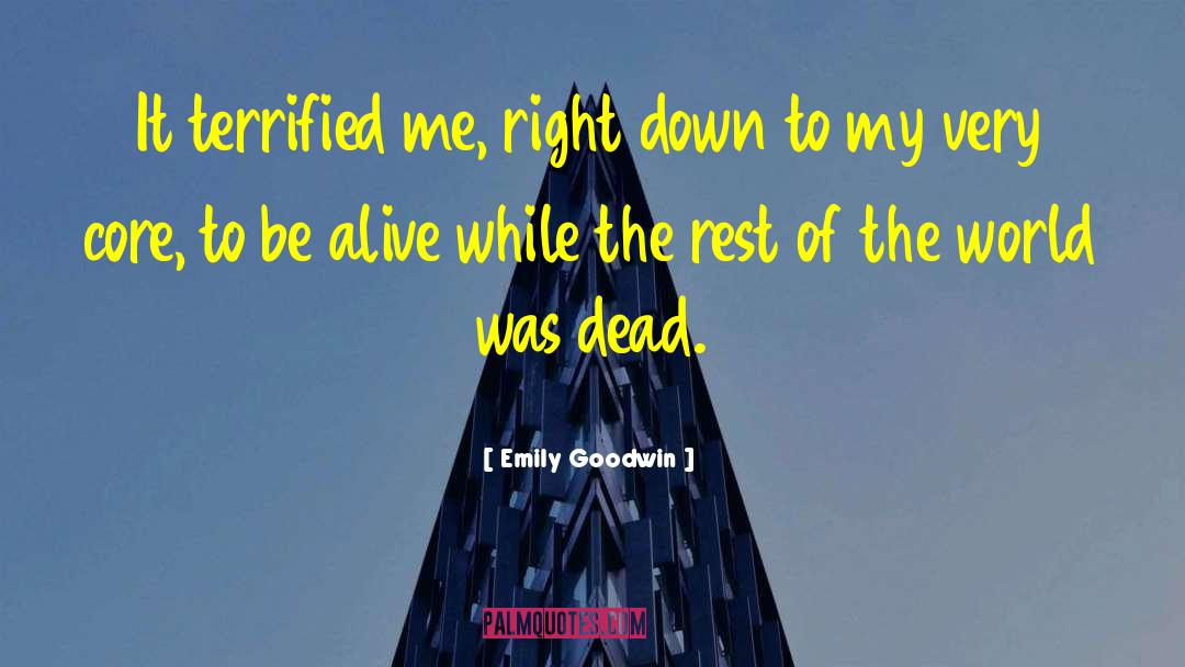 Emily Goodwin Quotes: It terrified me, right down