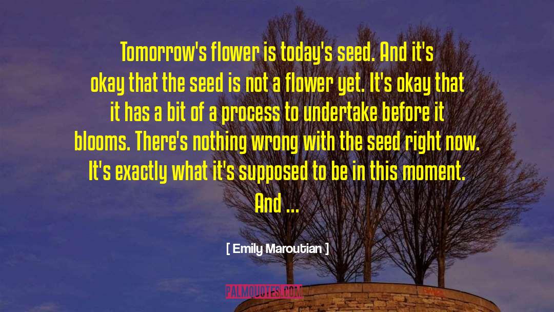 Emily Maroutian Quotes: Tomorrow's flower is today's seed.