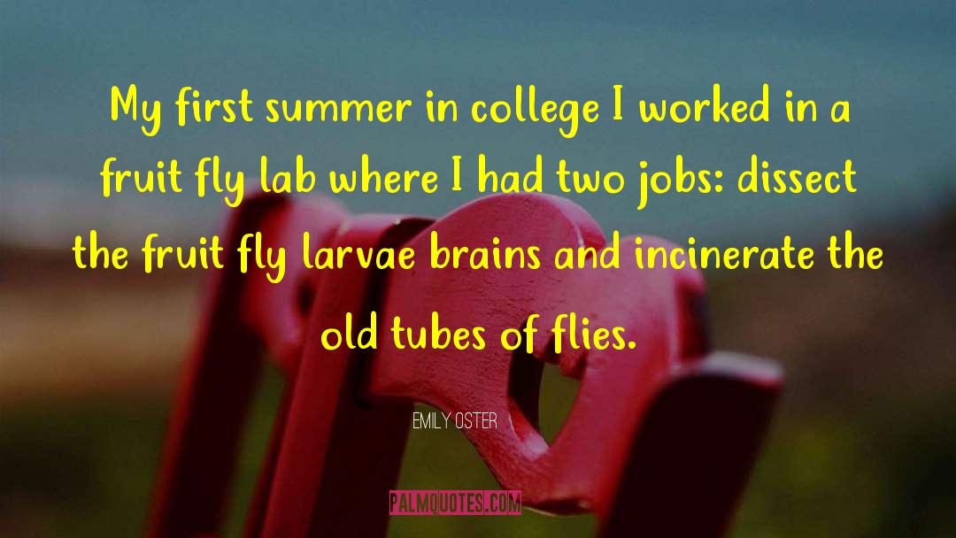 Emily Oster Quotes: My first summer in college