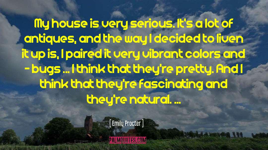 Emily Procter Quotes: My house is very serious.