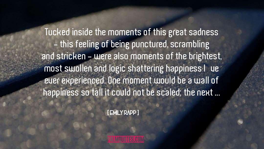 Emily Rapp Quotes: Tucked inside the moments of