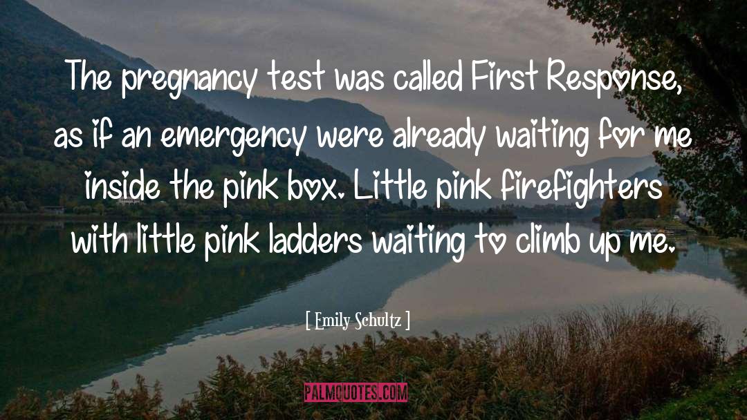 Emily Schultz Quotes: The pregnancy test was called